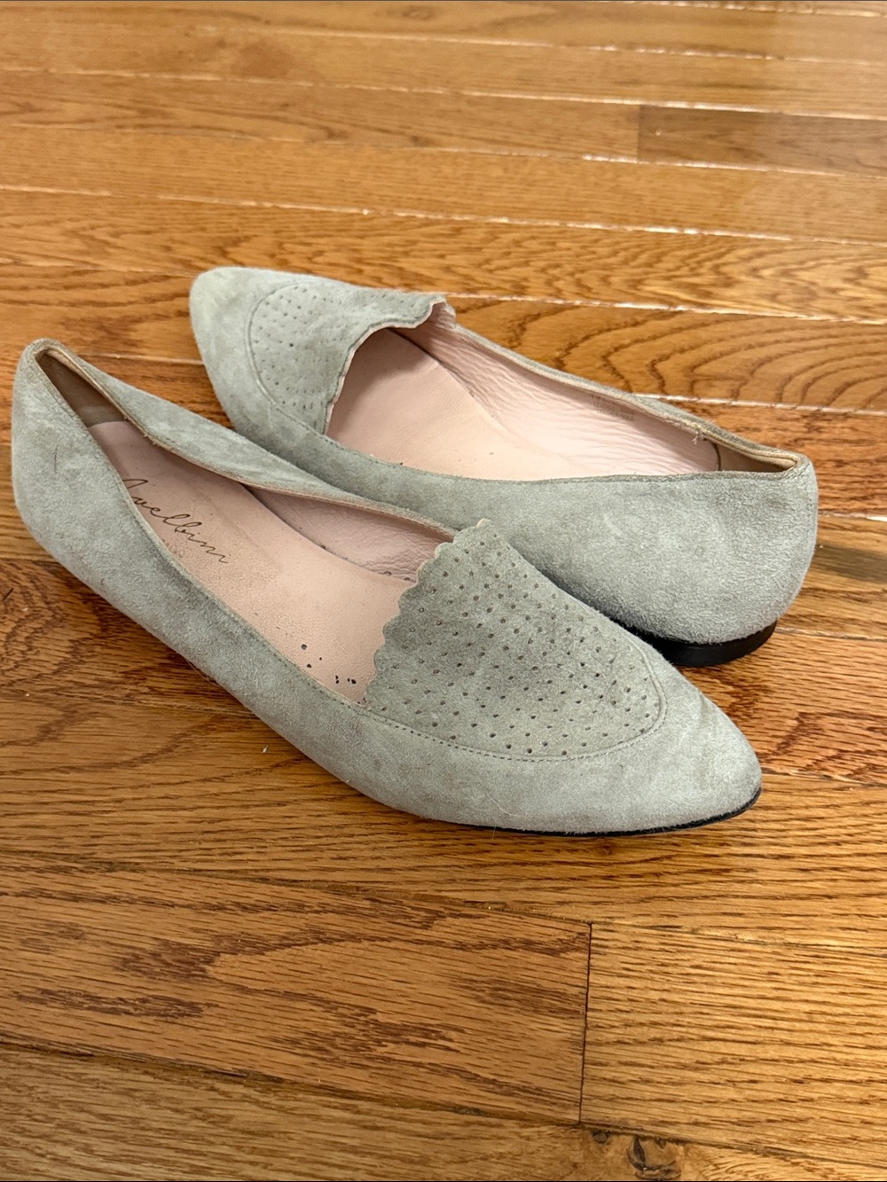 Avellini scalloped Suede Pointed Loafers